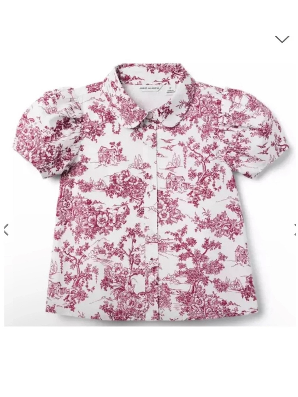 Janie and Jack White and Rose Toile Button-Front Shirt